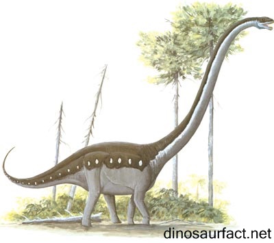 Omeisaurus Dinosaur